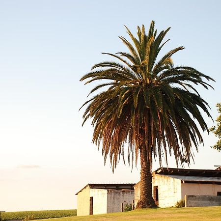 Dirtopia Trail Lodge Stellenbosch Dış mekan fotoğraf