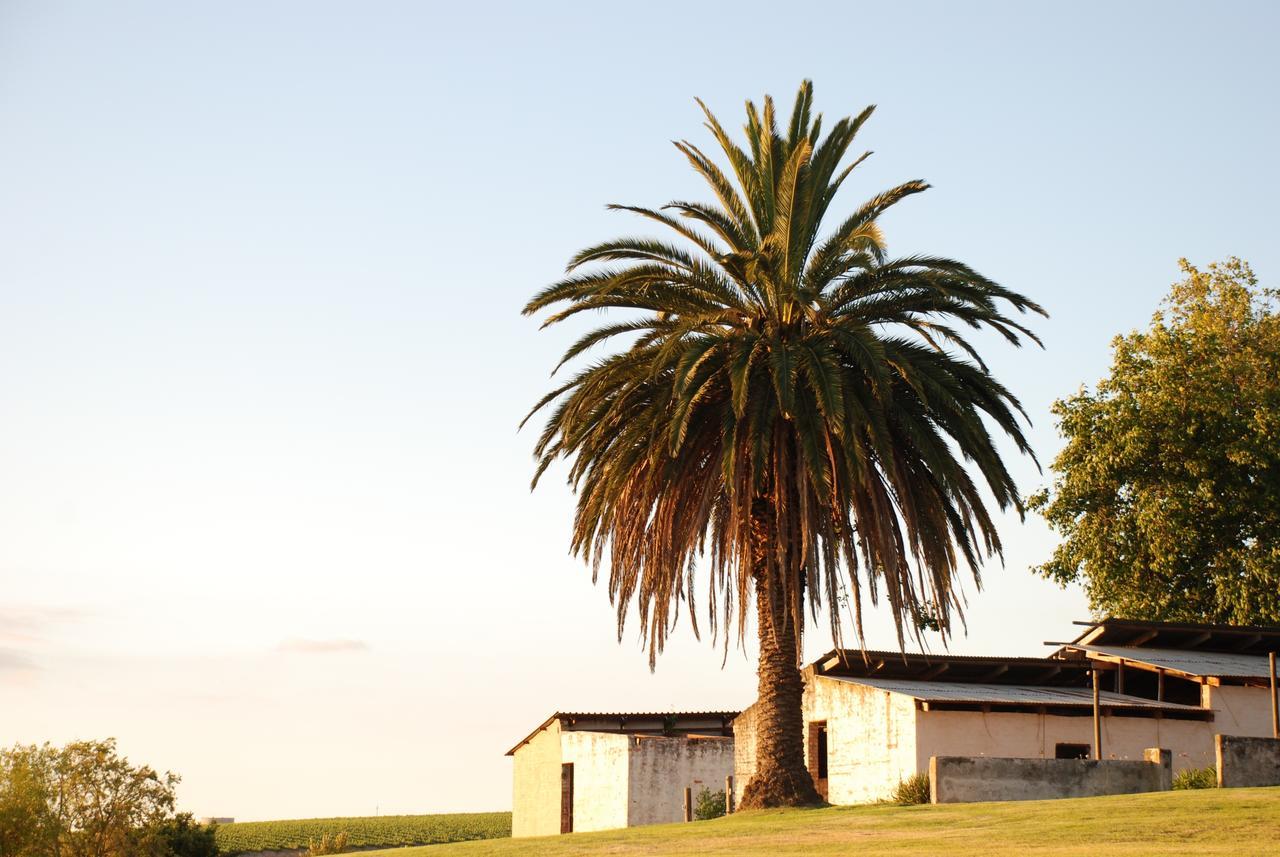 Dirtopia Trail Lodge Stellenbosch Dış mekan fotoğraf