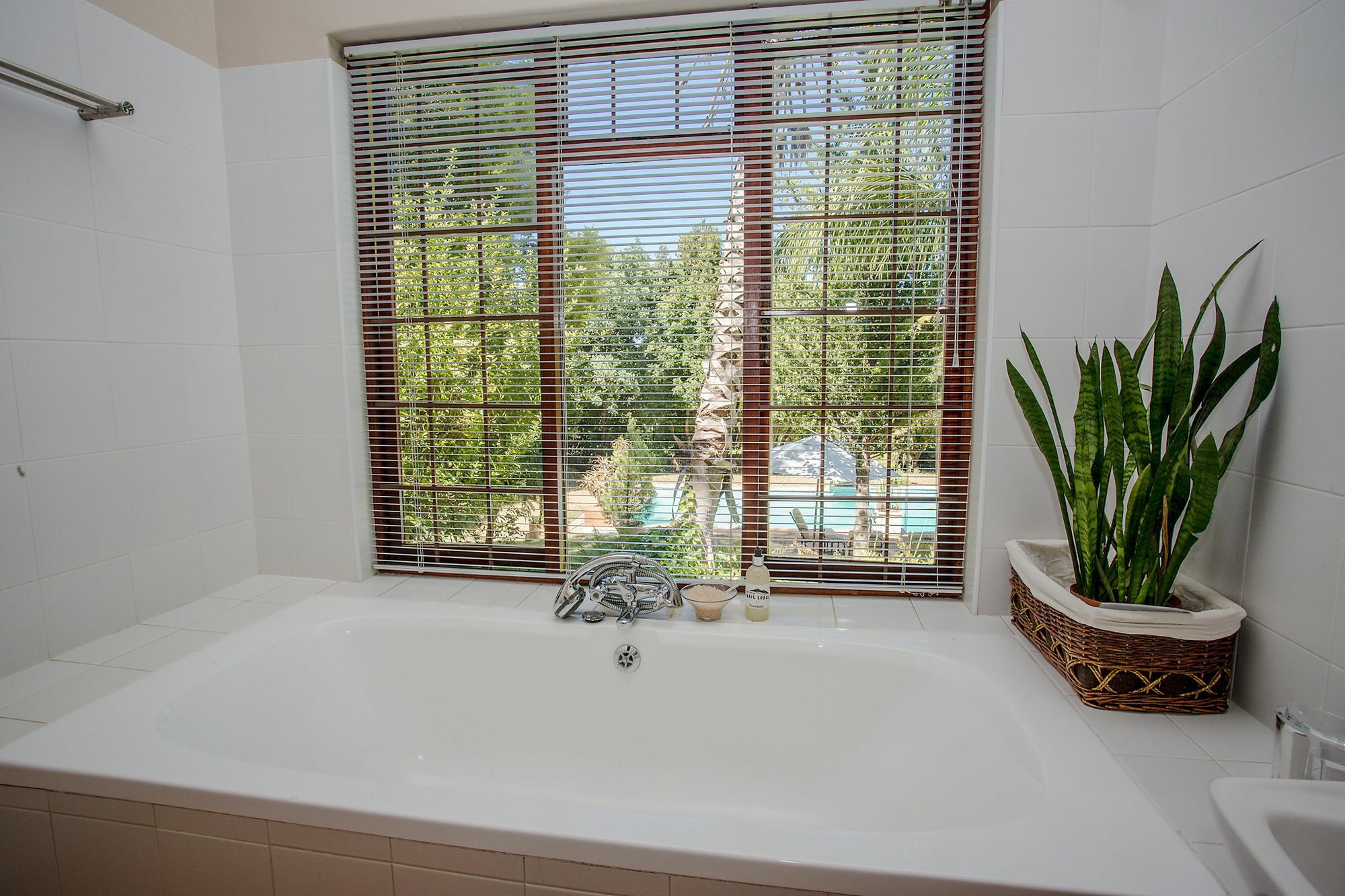 Dirtopia Trail Lodge Stellenbosch Dış mekan fotoğraf